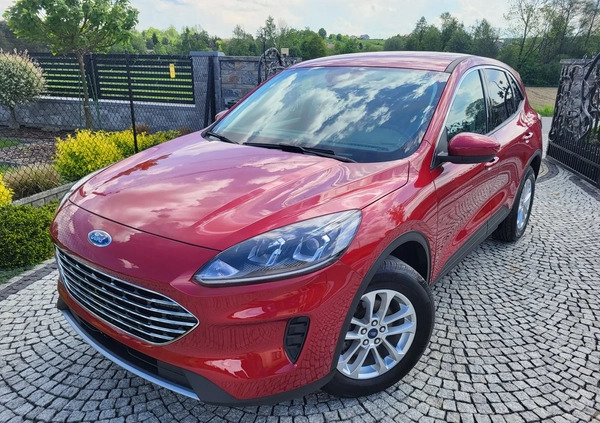 Ford Kuga cena 81999 przebieg: 18000, rok produkcji 2022 z Tarnów małe 631